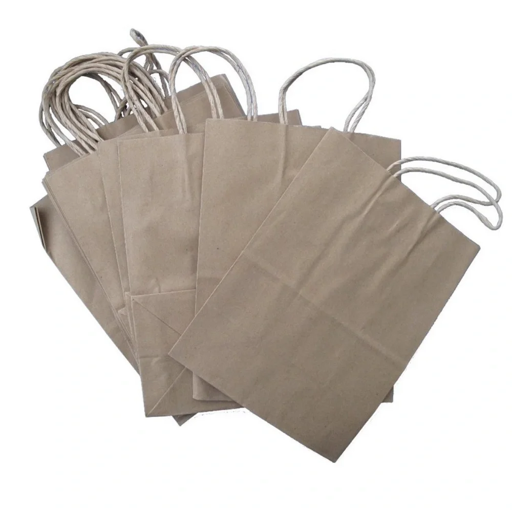 Brown Paper Gift Bags, 25, Kraft Bags, 10” tall